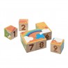 PLANTOYS Cubes Puzzle