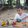 PLANTOYS Set de légumes tordus