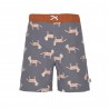 LASSIG Short de bain garçon Tigre gris