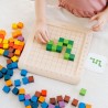 PLANTOYS Counting cubes